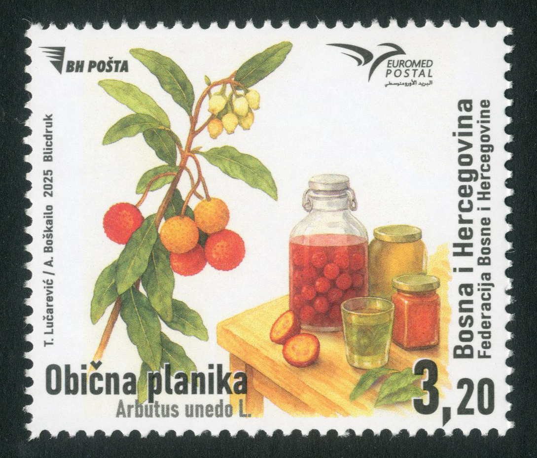 euromed-postal---arbutus-unedo-l
